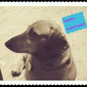 Meet your Posher, Debra